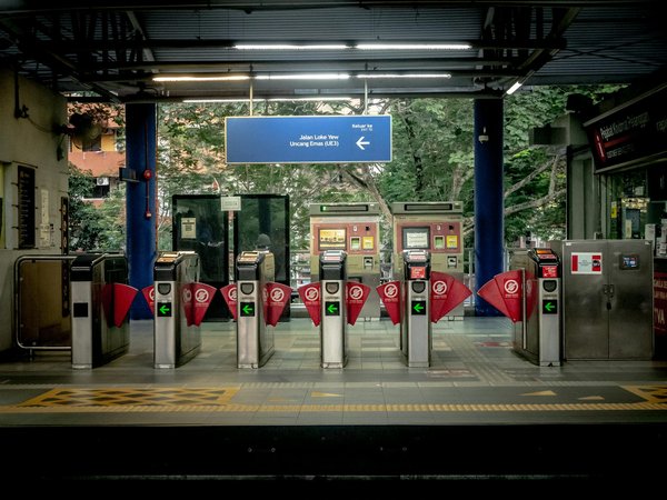 Comment organiser une visite des plantations de thé à Darjeeling, Inde?